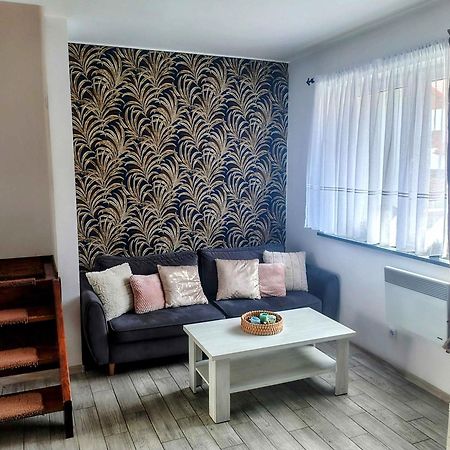 U Przyjaciol Villa Zarnowska Buitenkant foto